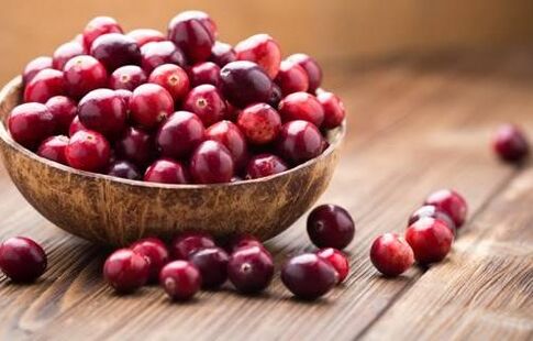 Beeren Preiselbeeren aus Parasiten