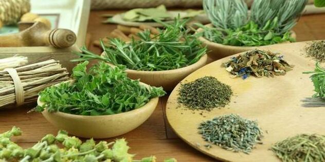 Gewürznelke gegen Parasiten im Körper