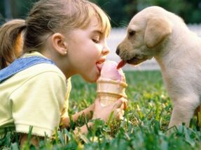 Mädchen isst Eis mit Hund und infiziert sich mit Parasiten