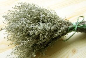 Wermut zur Entfernung von Parasiten